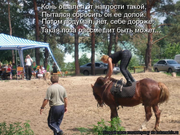 Конь ошалел от наглости такой, Пытался сбросить он ее долой. Потом подумал, нет, себе дороже, Такая п... Котоматрица: Конь ошалел от наглости такой, Пытался сбросить он ее долой. Потом подумал, нет, себе дороже, Такая поза рассмешит быть может...
