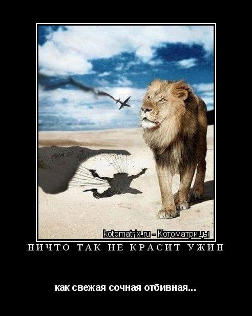 Ничто так не красит ужин как свежая сочная отбивная...... Котоматрица: Ничто так не красит ужин как свежая сочная отбивная...