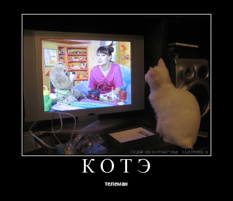 котэ телеман... Котоматрица: котэ телеман