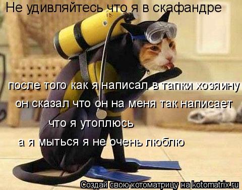 Не удивляйтесь что я в скафандре после того как я написал в тапки хозяину он сказал что он на меня та... Котоматрица: Не удивляйтесь что я в скафандре после того как я написал в тапки хозяину он сказал что он на меня так написает что я утоплюсь а я мыться я не