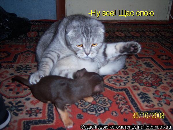 -Ну все! Щас спою... Котоматрица: -Ну все! Щас спою