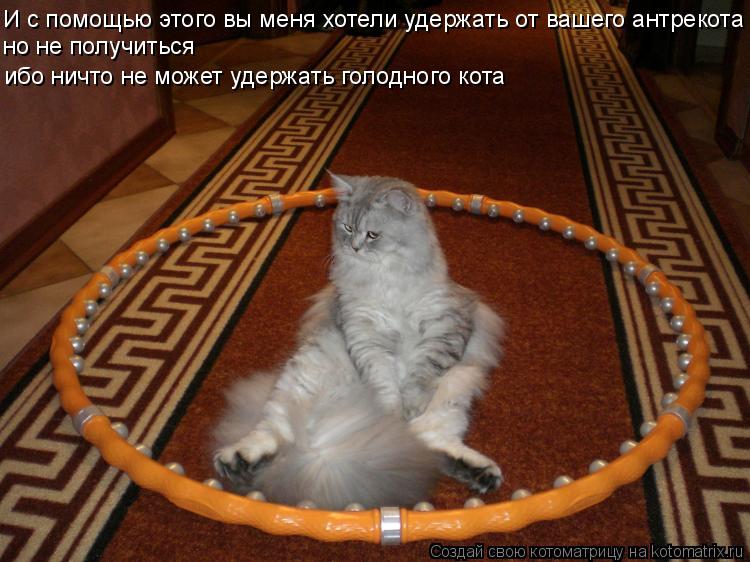 И с помощью этого вы меня хотели удержать от вашего антрекота но не получиться ибо ничто не может уде... Котоматрица: И с помощью этого вы меня хотели удержать от вашего антрекота но не получиться ибо ничто не может удержать голодного кота