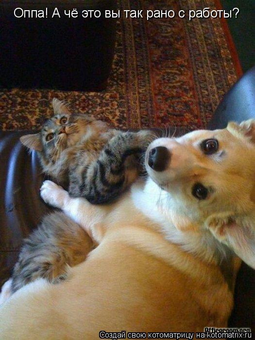Оппа! А чё это вы так рано с работы?... Котоматрица: Оппа! А чё это вы так рано с работы?