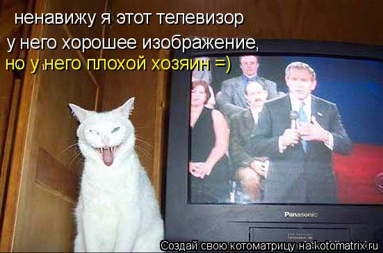 ненавижу я этот телевизор у него хорошее изображение, но у него плохой хозяин =)... Котоматрица: ненавижу я этот телевизор у него хорошее изображение, но у него плохой хозяин =)
