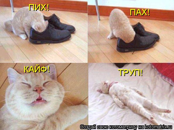 ПИХ! ПАХ! ТРУП! КАЙФ!... Котоматрица: ПИХ! ПАХ! ТРУП! КАЙФ!