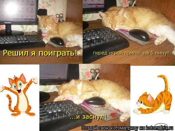Решил я поиграть! перед игрой прилег на 5 минут. .. ...и заснул!... Котоматрица: Решил я поиграть! перед игрой прилег на 5 минут. .. ...и заснул!