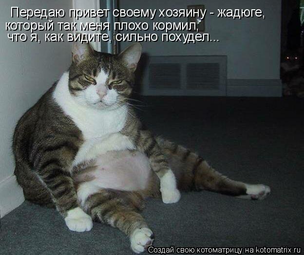 Передаю привет своему хозяину - жадюге, который так меня плохо кормил, что я, как видите, сильно пох... Котоматрица: Передаю привет своему хозяину - жадюге, который так меня плохо кормил, что я, как видите, сильно похудел...