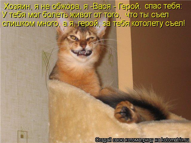 Хозяин, я не обжора, я -Вася - Герой, спас тебя: У тебя мог болеть живот от того, что ты съел слиш... Котоматрица: Хозяин, я не обжора, я -Вася - Герой, спас тебя: У тебя мог болеть живот от того, что ты съел слишком много, а я, герой, за тебя котолету съел!