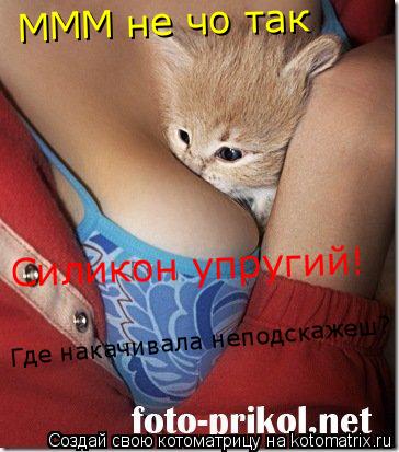 МММ не чо так Силикон упругий! Где накачивала неподскажеш?... Котоматрица: МММ не чо так Силикон упругий! Где накачивала неподскажеш?