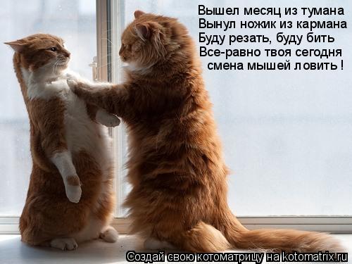 Вышел месяц из тумана Вынул ножик из кармана Буду резать, буду бить Все-равно твоя сегодня смена мыше... Котоматрица: Вышел месяц из тумана Вынул ножик из кармана Буду резать, буду бить Все-равно твоя сегодня смена мышей ловить !