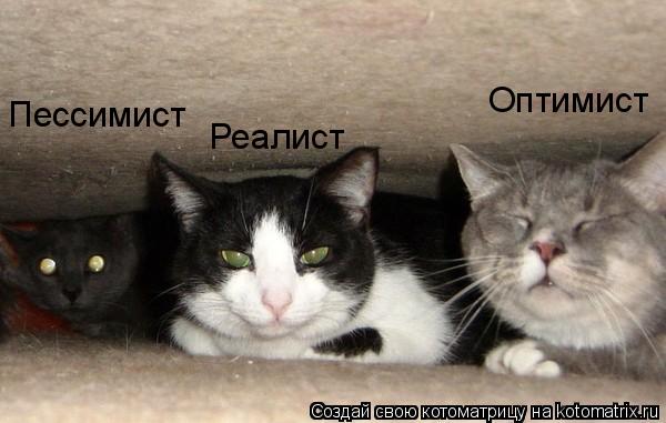 Оптимист Пессимист Реалист... Котоматрица: Оптимист Пессимист Реалист