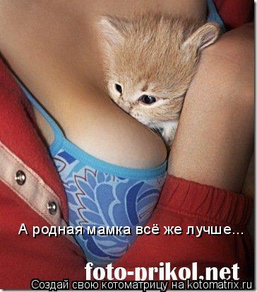 А родная мамка всё же лучше...... Котоматрица: А родная мамка всё же лучше...
