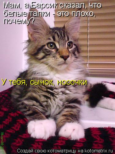 Мам, а Барсик сказал, что белые тапки - это плохо, почему? У тебя, сынок, носочки... Котоматрица: Мам, а Барсик сказал, что белые тапки - это плохо, почему? У тебя, сынок, носочки