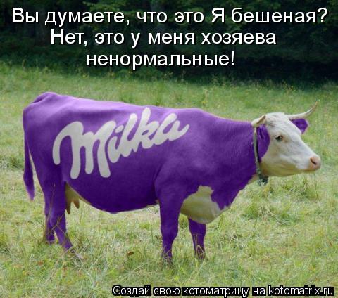 Вы думаете, что это Я бешеная? Нет, это у меня хозяева ненормальные!... Котоматрица: Вы думаете, что это Я бешеная? Нет, это у меня хозяева ненормальные!