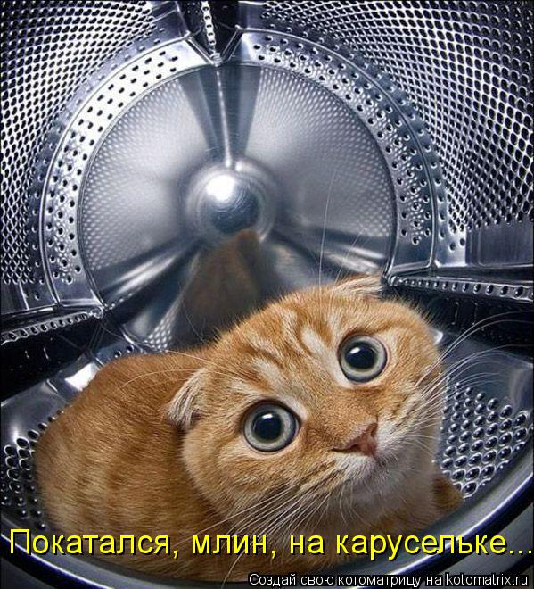 Покатался, млин, на карусельке...... Котоматрица: Покатался, млин, на карусельке...
