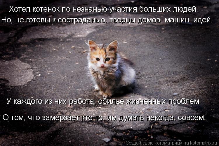 Котоматрица: Хотел котенок по незнанью участия больших людей. Но, не готовы к состраданью, творцы домов, машин, идей. У каждого из них работа, обилье жизне