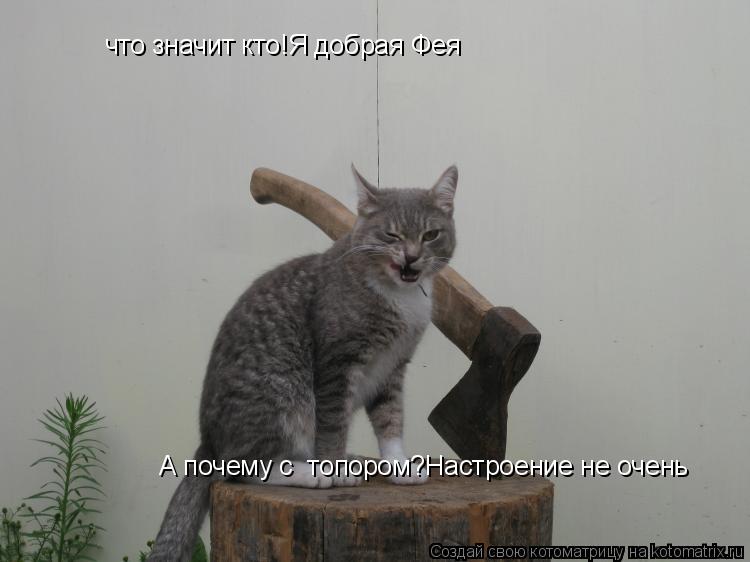 что значит кто!Я добрая Фея А почему с топором?Настроение не очень... Котоматрица: что значит кто!Я добрая Фея А почему с топором?Настроение не очень