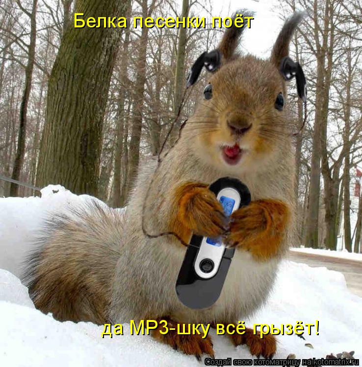 Белка песенки поёт да MP3-шку всё грызёт!... Котоматрица: Белка песенки поёт да MP3-шку всё грызёт!