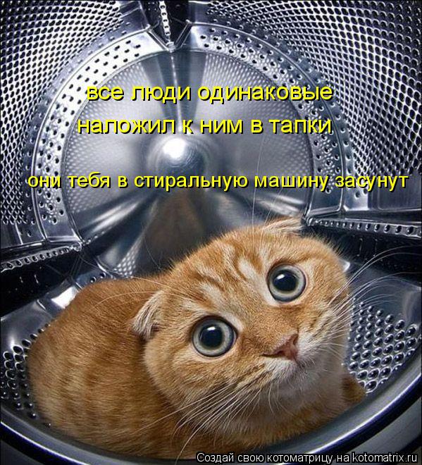 Котоматрица: все люди одинаковые наложил к ним в тапки они тебя в стиральную машину засунут