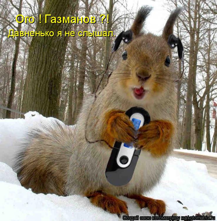 Котоматрица: Давненько я не слышал.  Ого ! Газманов ?!