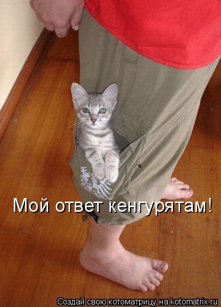 Котоматрица: Мой ответ кенгурятам!