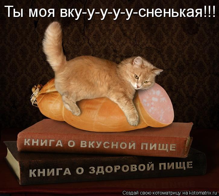 Котоматрица: Ты моя вку-у-у-у-у-сненькая!!!