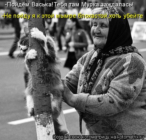 -Пойдём Васька!Тебя там Мурка заждалась! -Не пойду я к этой мымре блохастой,хоть убейте... Котоматрица: -Пойдём Васька!Тебя там Мурка заждалась! -Не пойду я к этой мымре блохастой,хоть убейте