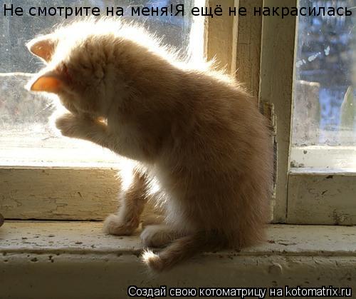 Не смотрите на меня!Я ещё не накрасилась... Котоматрица: Не смотрите на меня!Я ещё не накрасилась