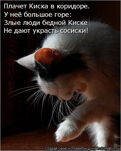 Котоматрица: Плачет Киска в коридоре. У неё большое горе: Злые люди бедной Киске Не дают украсть сосиски!