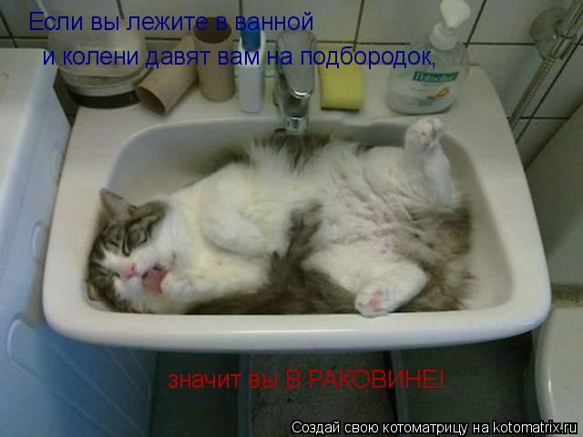 Если вы лежите в ванной и колени давят вам на подбородок, значит вы В РАКОВИНЕ!... Котоматрица: Если вы лежите в ванной и колени давят вам на подбородок, значит вы В РАКОВИНЕ!