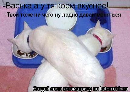 -Васька,а у тя корм вкуснее! -Твой тоже ни чего,ну ладно давай меняться... Котоматрица: -Васька,а у тя корм вкуснее! -Твой тоже ни чего,ну ладно давай меняться