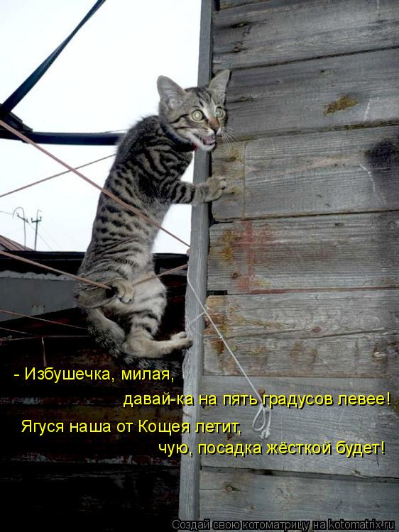 - Избушечка, милая, Ягуся наша от Кощея летит, чую, посадка жёсткой будет! давай-ка на пять градусов... Котоматрица: - Избушечка, милая, Ягуся наша от Кощея летит, чую, посадка жёсткой будет! давай-ка на пять градусов левее!