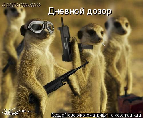 Котоматрица: Дневной дозор