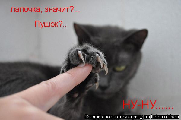Котоматрица: лапочка, значит?... Пушок?.. НУ-НУ......
