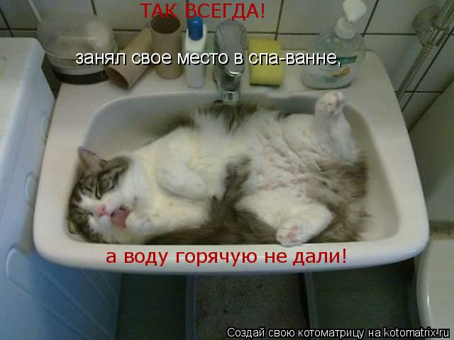 Котоматрица: а воду горячую не дали! ТАК ВСЕГДА!  занял свое место в спа-ванне,