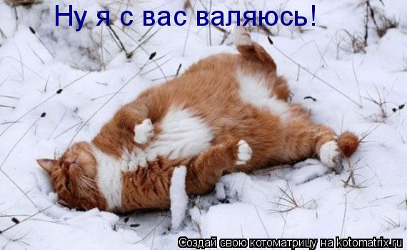 Ну я с вас валяюсь!... Котоматрица: Ну я с вас валяюсь!
