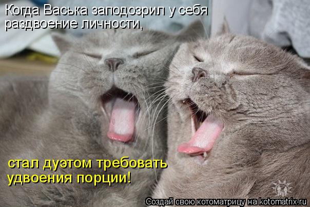 Котоматрица: Когда Васька заподозрил у себя  раздвоение личности, стал дуэтом требовать  удвоения порции!