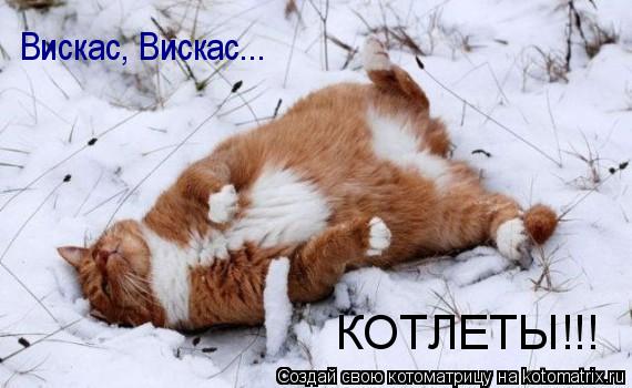 Котоматрица: КОТЛЕТЫ!!! Вискас, Вискас...