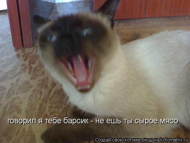 Котоматрица: говорил я тебе барсик - не ешь ты сырое мясо