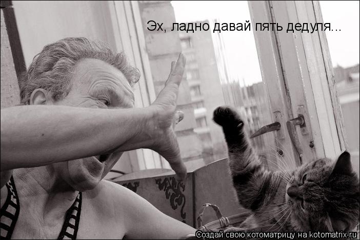 Котоматрица: Эх, ладно давай пять дедуля...