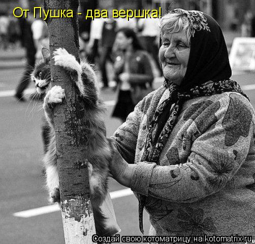 Котоматрица: От Пушка - два вершка!