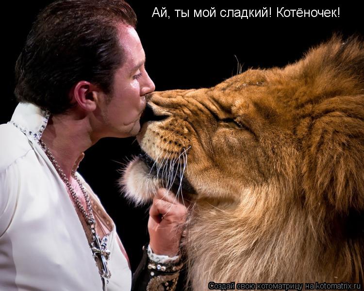 Ай, ты мой сладкий! Котёночек!... Котоматрица: Ай, ты мой сладкий! Котёночек!