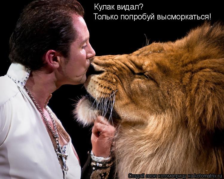 Кулак видал? Только попробуй высморкаться!... Котоматрица: Кулак видал? Только попробуй высморкаться!