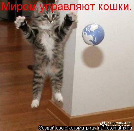 Миром управляют кошки.... Котоматрица: Миром управляют кошки.