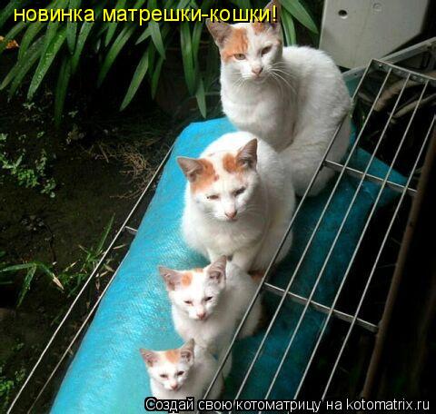 новинка матрешки-кошки!... Котоматрица: новинка матрешки-кошки!