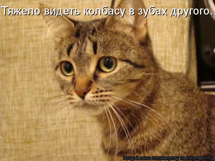 Тяжело видеть колбасу в зубах другого...... Котоматрица: Тяжело видеть колбасу в зубах другого...