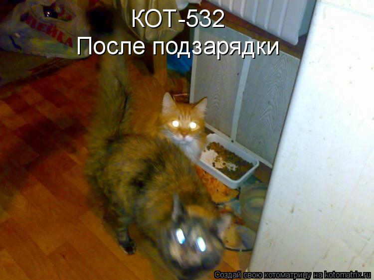 КОТ-532 После подзарядки... Котоматрица: КОТ-532 После подзарядки