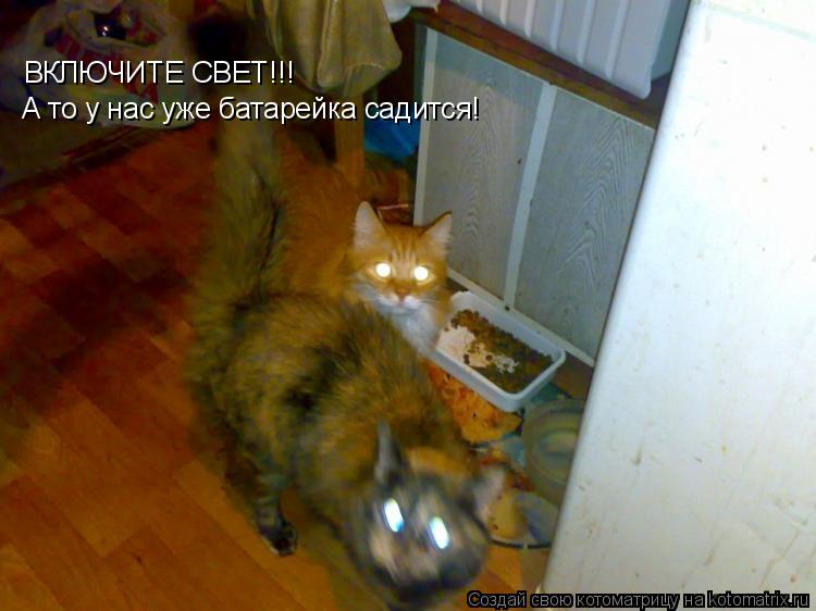 ВКЛЮЧИТЕ СВЕТ!!! А то у нас уже батарейка садится!... Котоматрица: ВКЛЮЧИТЕ СВЕТ!!! А то у нас уже батарейка садится!