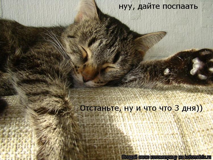 Отстаньте, ну и что что 3 дня)) нуу, дайте поспаать... Котоматрица: Отстаньте, ну и что что 3 дня)) нуу, дайте поспаать