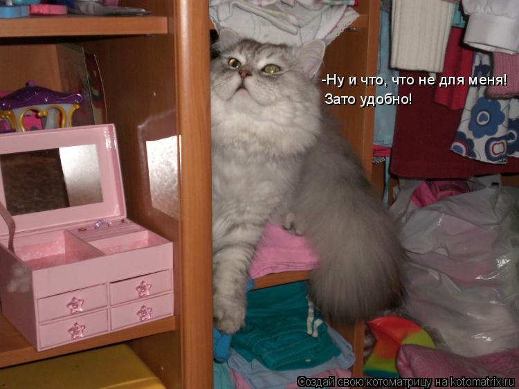 -Ну и что, что не для меня! Зато удобно!... Котоматрица: -Ну и что, что не для меня! Зато удобно!